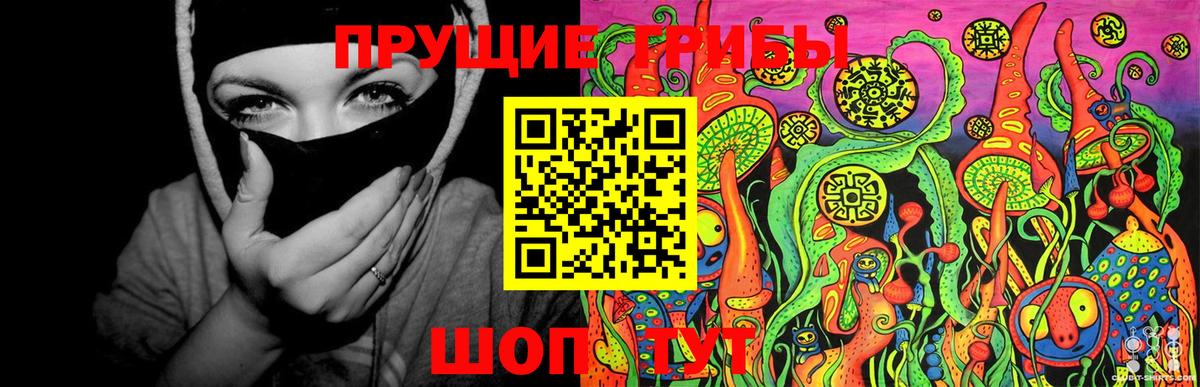 Псилоцибиновые грибы Psilocybine cubensis Воронеж